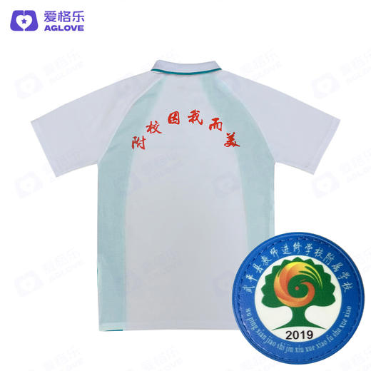 武平教师进修学校附属学校 中学款（夏季） 商品图3