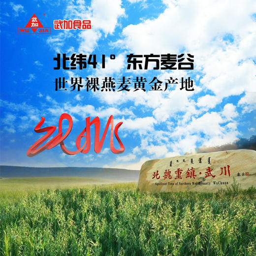 武加莜麦全粉速食面200g*20袋 商品图2