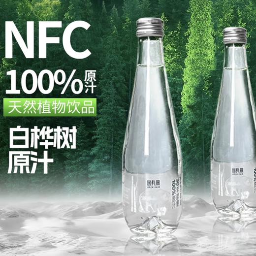 【BF】园有风桦树汁310ml*10瓶 礼盒装 商品图2