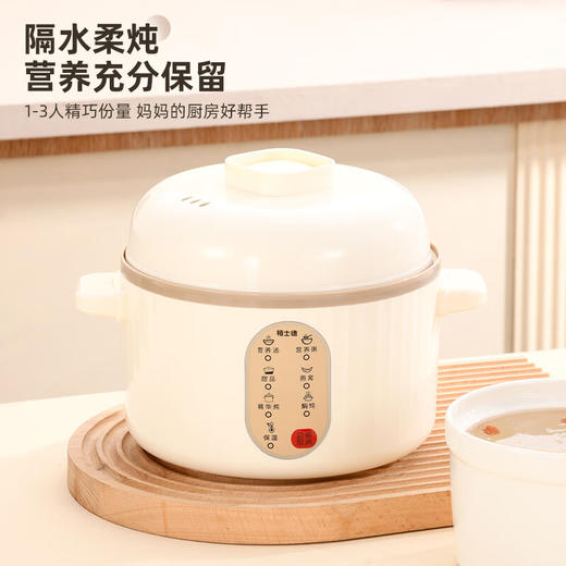 栢士德微电脑隔水电炖锅BSD-WG108【LXGWZQ1.0】 商品图0