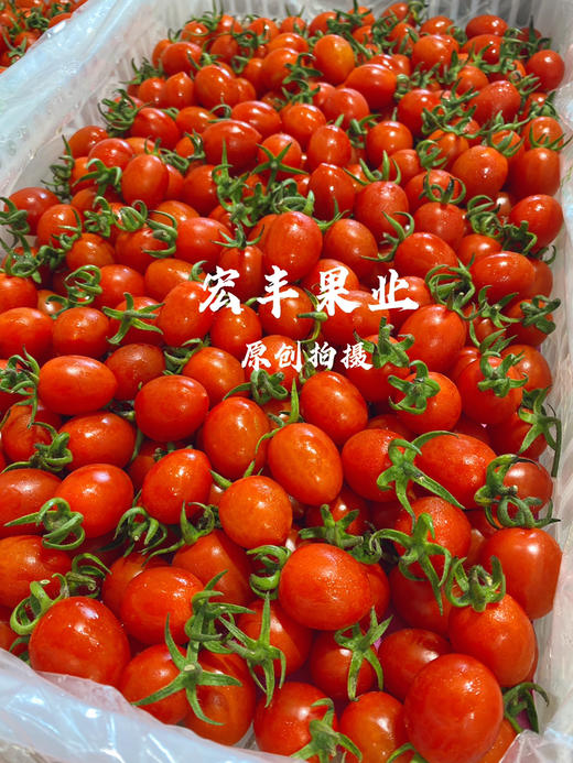 宏丰精选，红宝石千禧，新鲜到货不影响口感，活动价19.8元一斤 商品图5