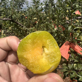 【云南黄金奈李】顺丰到家 新鲜采摘 皮薄肉脆 果肉细腻 清爽甘甜 鲜嫩多汁 果香怡人 恰当好处的甜蜜 3种规格任选