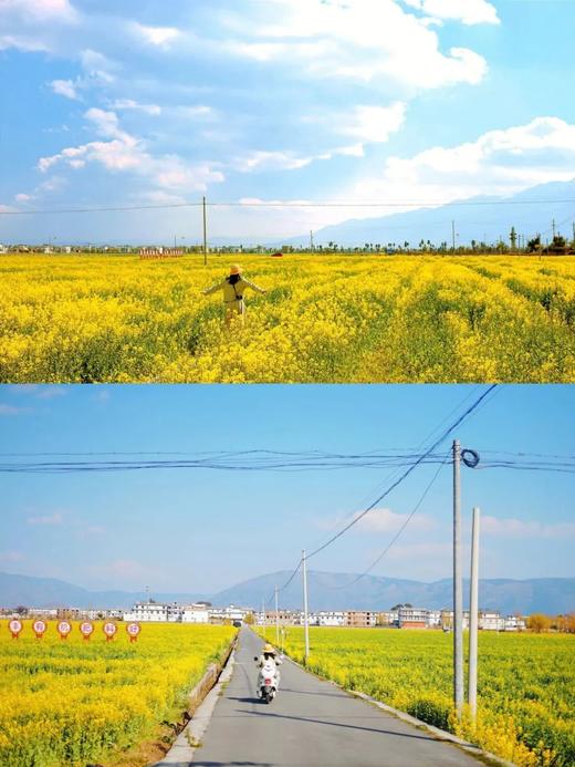 【云南大理港湾温泉基地】 商品图4