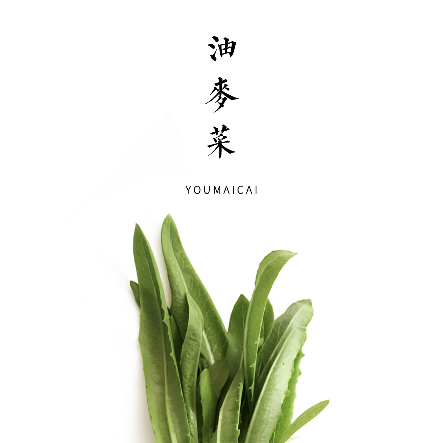 油麦菜  300g