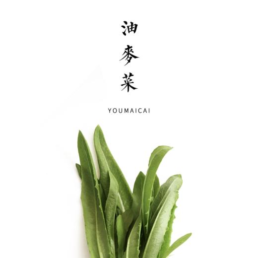 油麦菜  300g 商品图0
