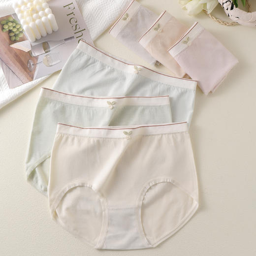 女士中腰简约内裤无痕女式抗菌裆舒适可爱学生少女风8639 商品图0