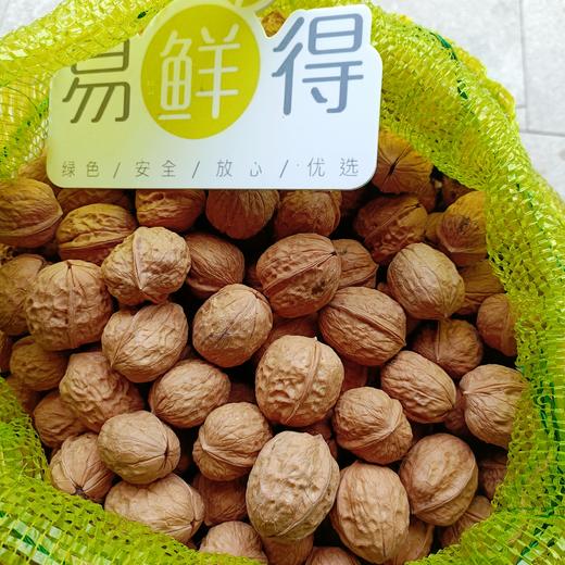 四川大凉山去皮鲜核桃 家庭装5斤 商品图0