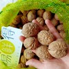 四川大凉山去皮鲜核桃 家庭装5斤 商品缩略图1