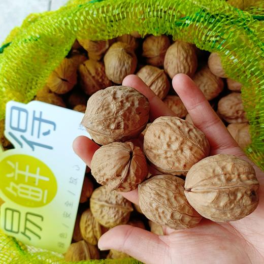 四川大凉山去皮鲜核桃 家庭装5斤 商品图1