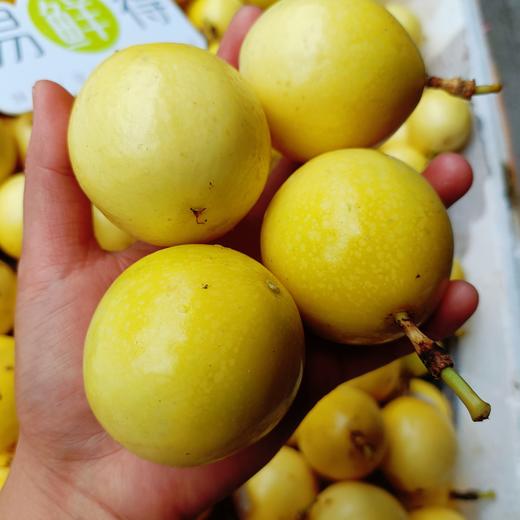 海南钦蜜9号黄金百香果 中小果 颗粒饱满果香味浓郁 商品图1