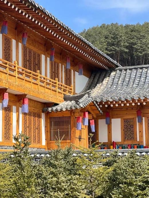 【已成团】去过22℃的夏天，火山探索、森林徒步、农夫山泉探秘、朝鲜族文化探索，穿朝鲜服、制作辣白菜、学舞蹈 商品图3