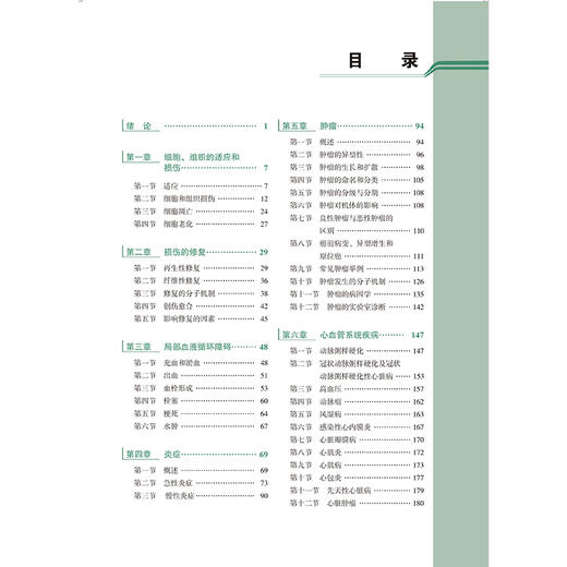 病理学 第4四版 十四五普通高等教育本科规划教材 孙保存 供基础临床护理预防口腔中医药学医学技术类等专业用 北京大学医学出版社 商品图4