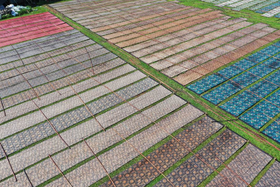 【航拍肇庆】8月18-19日 两天： 航拍七星岩、披云楼、宋城墙、天湖鹭鸟、晒香云纱，揽尽肇庆自然与人文