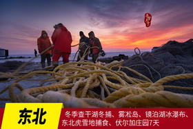 1月4日【东北】冬季查干湖冬捕、雾凇岛、镜泊湖冰瀑布、东北虎雪地捕食、伏尔加庄园、横道河子童话小镇7天摄影团