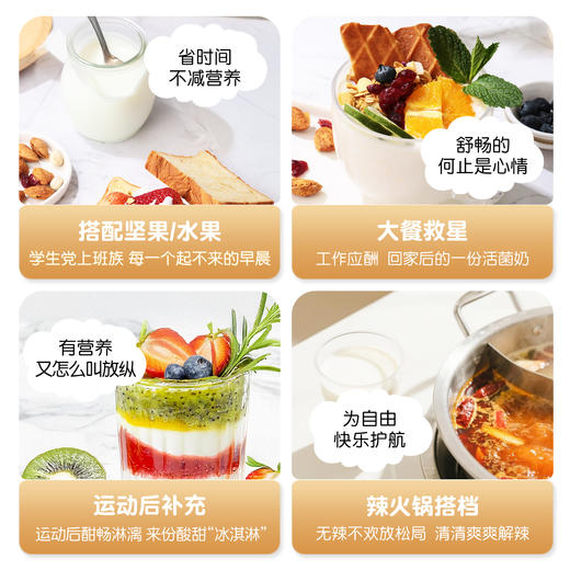 西域美农 原味酸羊奶  活菌酸羊奶 纯生羊乳发酵 配料干净 更好吸收 顺丰快递 商品图4