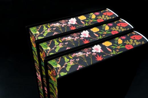 《楚辞译注》（彩图珍藏本）| 享誉40年的经典译注本 豆瓣9.6分口碑之作 全本全注全译 赠藏书票 商品图4