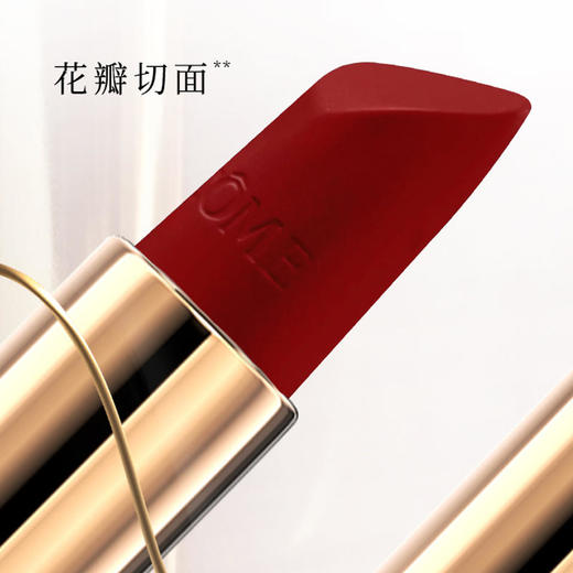 【GJ链接请勿用!!!】兰蔻菁纯口红小蛮腰唇膏#196断货色3.4g 商品图4