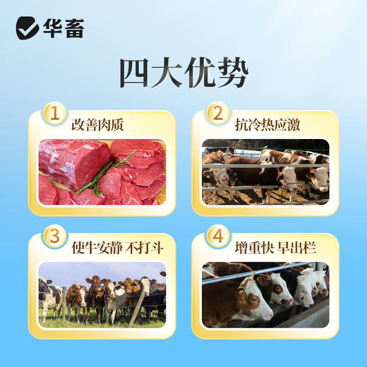 华畜牛肽能长（4%肉牛育肥）复合预混合饲料20kg猛吃猛涨 商品图3