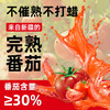 💥新疆番茄🍅【鲁味顺番茄沙司】 比进口番茄酱还能打❗️开团2瓶💰19.9秒杀！商超在售一瓶就要￥19！  商品缩略图3