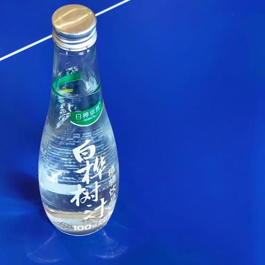 [屁侠推荐]白桦依然白桦树汁植物饮品 330ml*6瓶/箱  商品图0