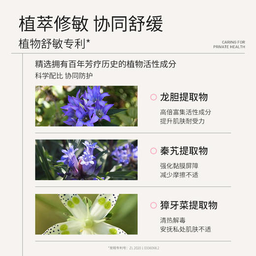 SYNIA西尼女士益生元云感洗护泡沫（WPM180） 商品图2