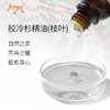 胶冷杉精油(枝叶) 进口单方精油原料批发芳疗个人护理调香 商品缩略图1