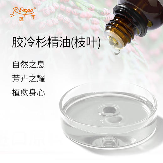 胶冷杉精油(枝叶) 进口单方精油原料批发芳疗个人护理调香 商品图1
