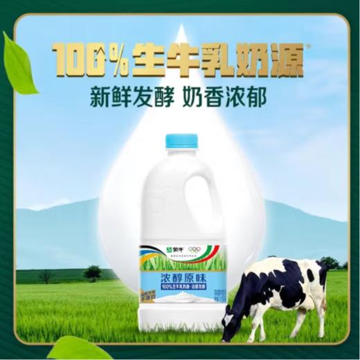 蒙牛风味酸牛奶原味桶 1.1kg 商品图2