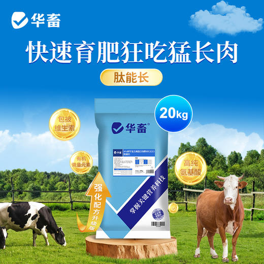 华畜牛肽能长（4%肉牛育肥）复合预混合饲料20kg猛吃猛涨 商品图1
