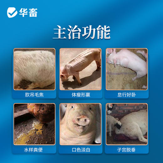 华畜补中益气散500g 脾胃气虚久泻脱肛 母畜产后用 商品图1