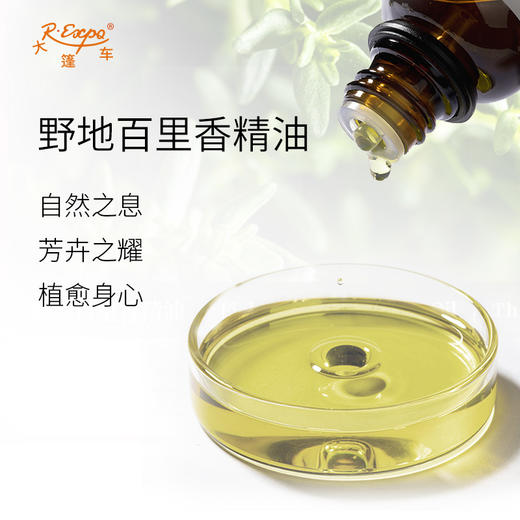野地百里香精油 奥地利单方精油原料批发芳疗香氛调香香薰 大篷车 商品图1