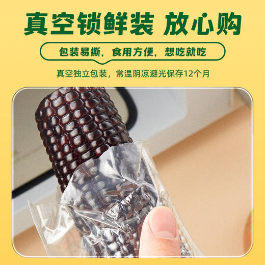 十月稻田 开袋即食 水果玉米/黑糯玉米 商品图7