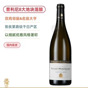 阿兰夏维酒庄普利尼蒙哈榭8号干白Domaine Alain Chavy Puligny-Montrachet Les 8 Climats 2022