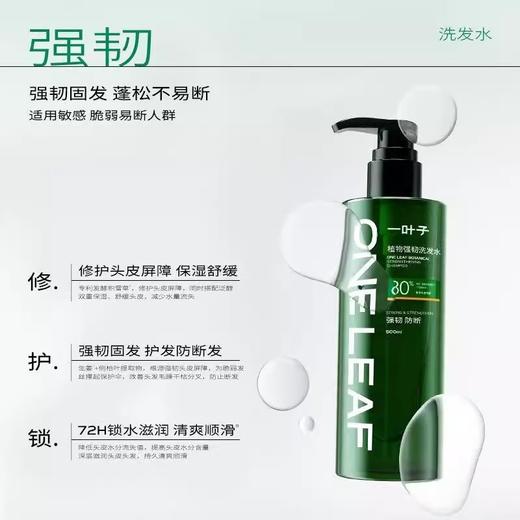 一叶子植物强韧防断洗发水 控油蓬松 去屑蓬松 柔顺护发素洗发水 商品图2