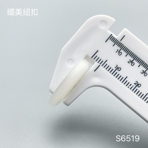 S6519(整包购买) 商品图5