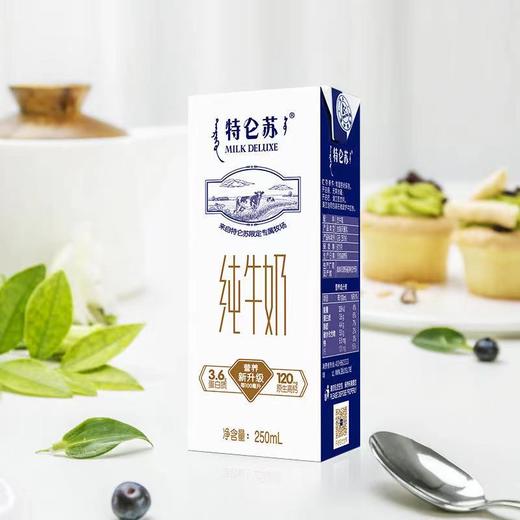 【自营】蒙牛特仑苏纯牛奶250*12盒整箱 商品图2