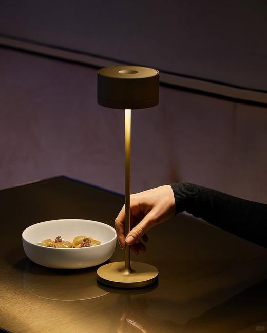 意大利进口iguzzini whisper 台灯 商品图7