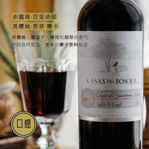 智利top8丨连续6年入选全球50大知名酒庄 智利原瓶进口 卡萨伯斯克酿酒师珍藏赤霞珠干红葡萄酒 14%vol 商品图4