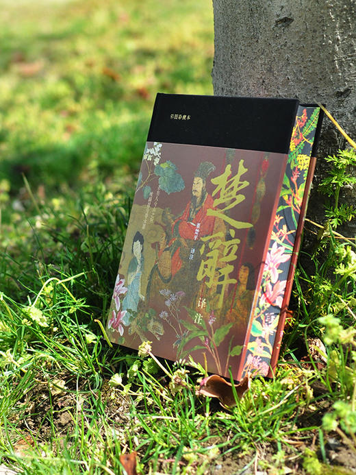 《楚辞译注》（彩图珍藏本）| 享誉40年的经典译注本 豆瓣9.6分口碑之作 全本全注全译 赠藏书票 商品图2