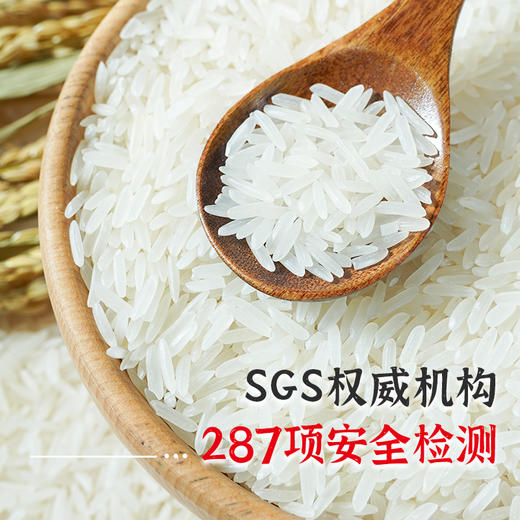 陇间柒月 七月富硒大米5kg 商品图8