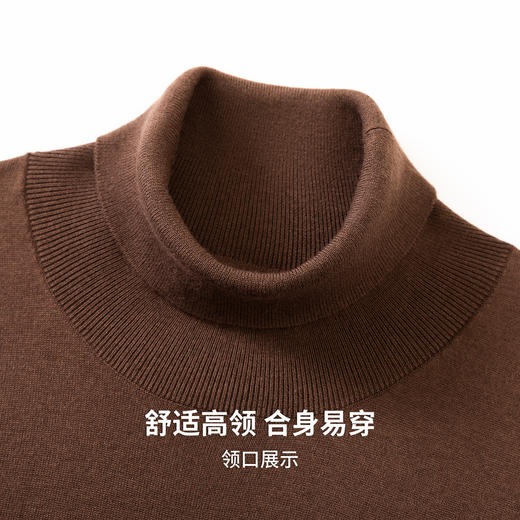 【含绵羊毛】圣得西男士羊毛混纺高密针织衫2025秋季保暖舒适新款毛衣 商品图7