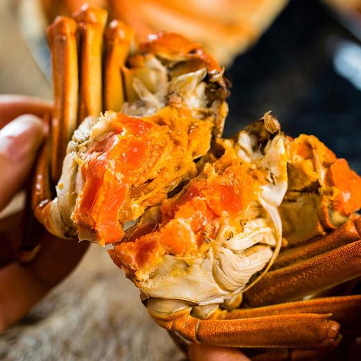 正宗阳澄湖大闸蟹卡券 商品图6