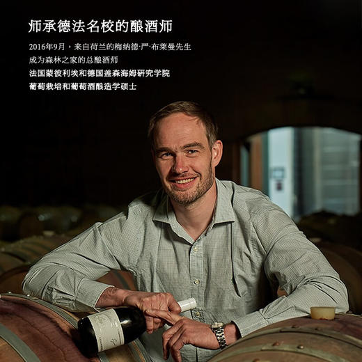 智利top8丨连续6年入选全球50大知名酒庄 智利原瓶进口 卡萨伯斯克酿酒师珍藏赤霞珠干红葡萄酒 14%vol 商品图6