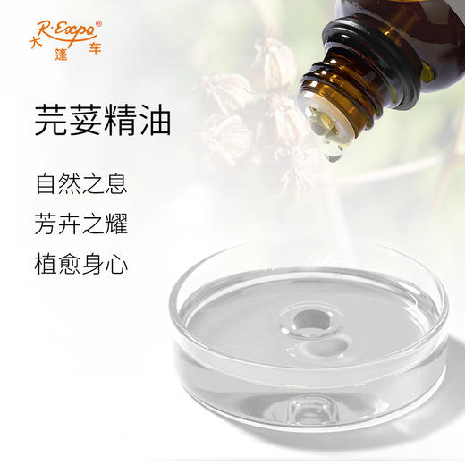 芫荽精油 奥地利单方精油原料批发芳疗护理香氛调香 大篷车精油 商品图1