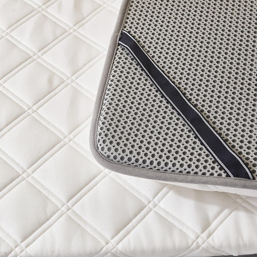 自然醒提花乳胶记忆棉学生床垫可折叠床褥垫睡觉打地铺租房专用家用垫背褥子LN 商品图13