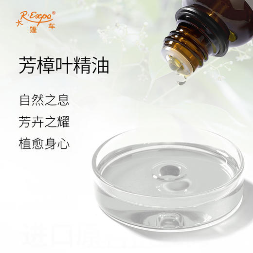 芳樟叶精油 Camphor tree leaf 澳大利亚进口单方精油原料批发芳疗 商品图1