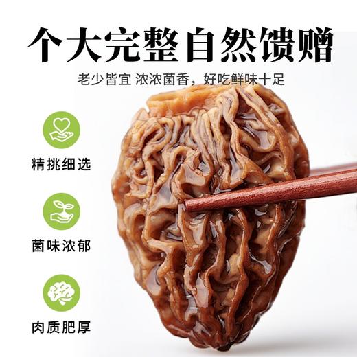 在菌屋 云南高原纯野生羊肚菌干货50g/罐 商品图4