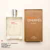 Hermes爱马仕 大地泠洌之水/霜冻大地香水 商品缩略图5