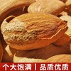 兵团大地原味巴旦木210g/袋 商品缩略图3