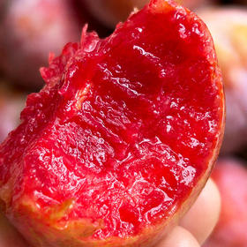 【酸甜爆汁】福建芙蓉李 新鲜水果脆甜脱骨李 当季高山李子 4.5-5斤装